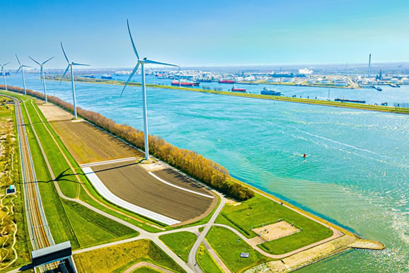 Proyectos principales