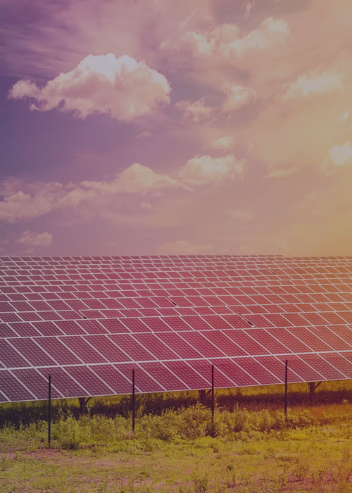 Construcción de plantas solares a gran escala en Asia.